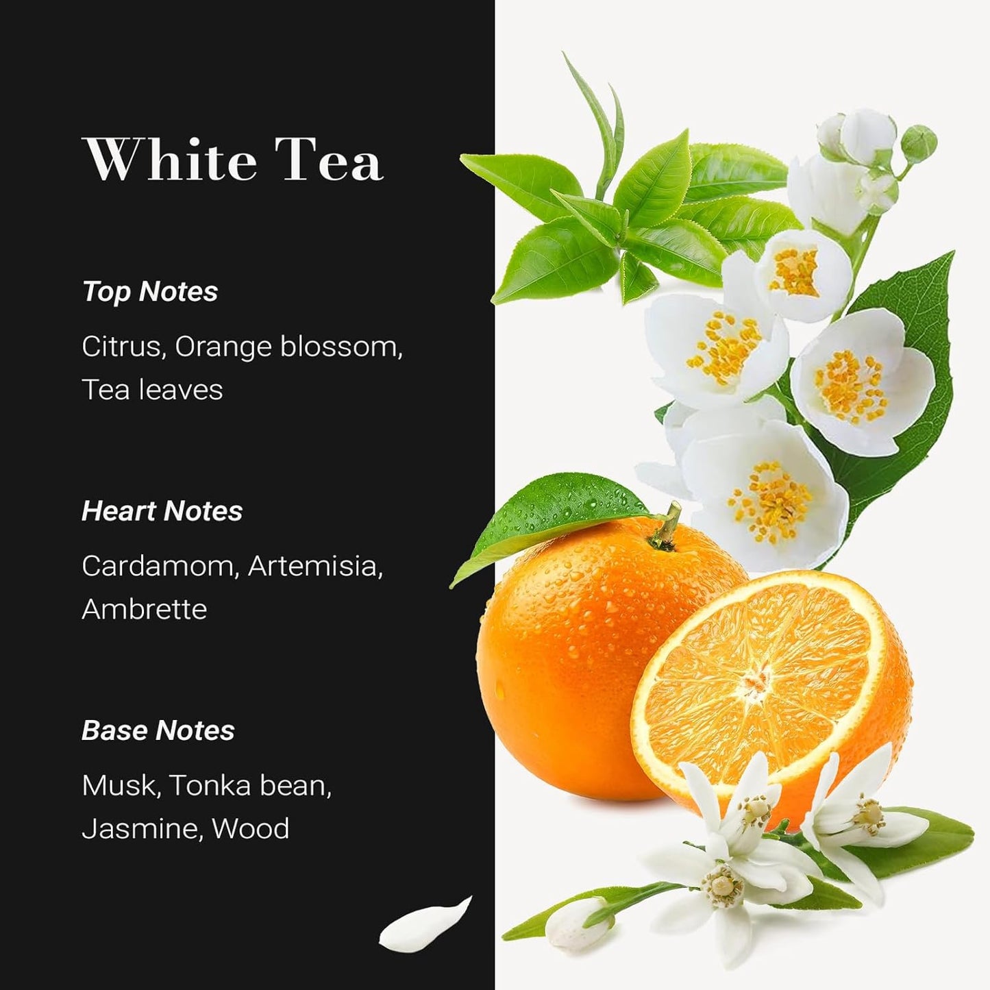 JCLOUD White Tea Hotel Diffuser Oil, Aromatherapy Essential Oils Blend for Ultrasonic and Waterless Diffuser, Home Luxury & Hotel Scents 100mL