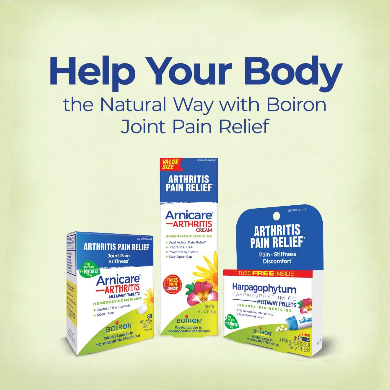 Boiron Arnicare Arthritis Cream for Pain Relief of Knees, Hands, Wrists, Elbows, Joints & Muscles – Quickly Absorbed & Fragrance-Free – 5 oz (2 Pack of 2.5 oz)