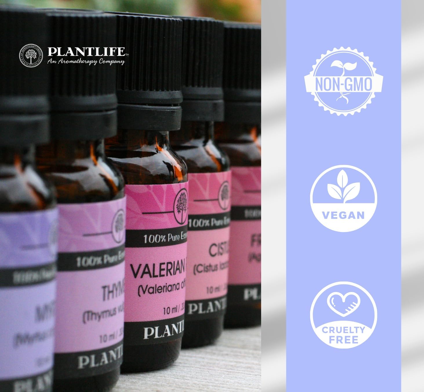 Plantlife Sweet Orange Aromatherapy Essential Oil - Straight from The Plant 100% Pure Therapeutic Grade - No Additives or Filters - 10 ml