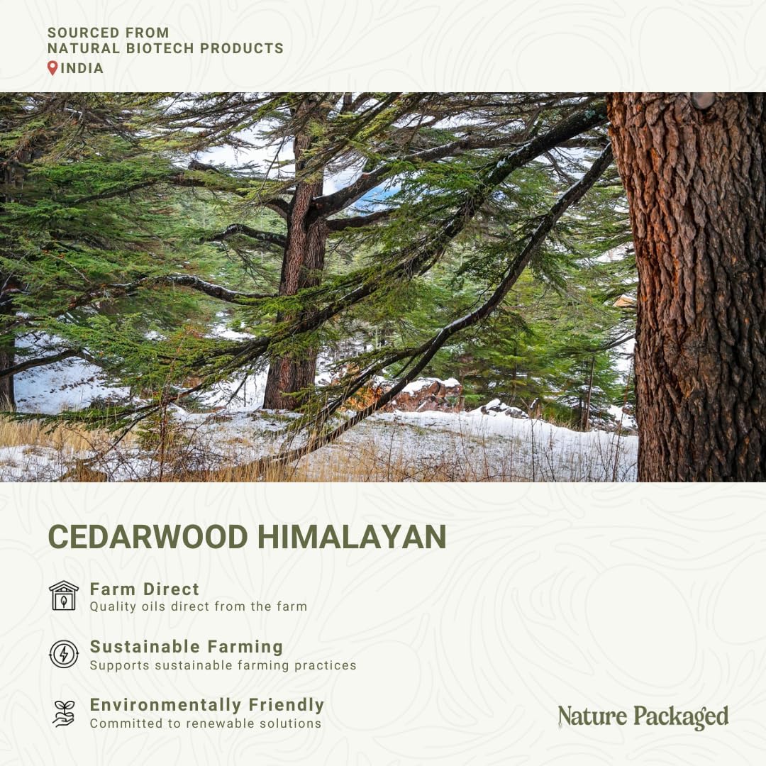 Cedarwood Himalayan Essential Oil - 100% Pure Steam Distilled Natural Cedarwood Himalayan Oil (Aceite de Cedro) from Natural Biotech NBT India for Aromatherapy & DIY Projects - 15ml