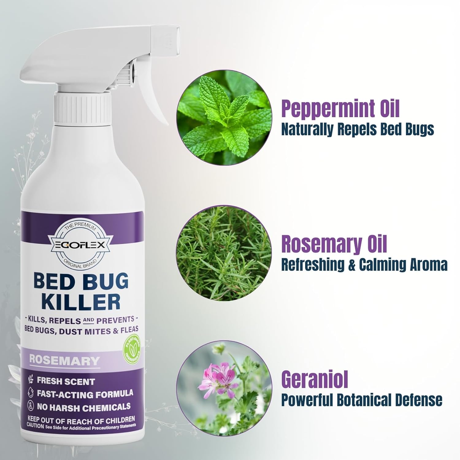 Bed Bug Spray for Home, Mattress, Furniture & Carpet – Bed Bugs Killer Treatment for Dust Mites, Fleas & Lice – Natural Essential Oil Pest Control Spray - 16 Fl Oz