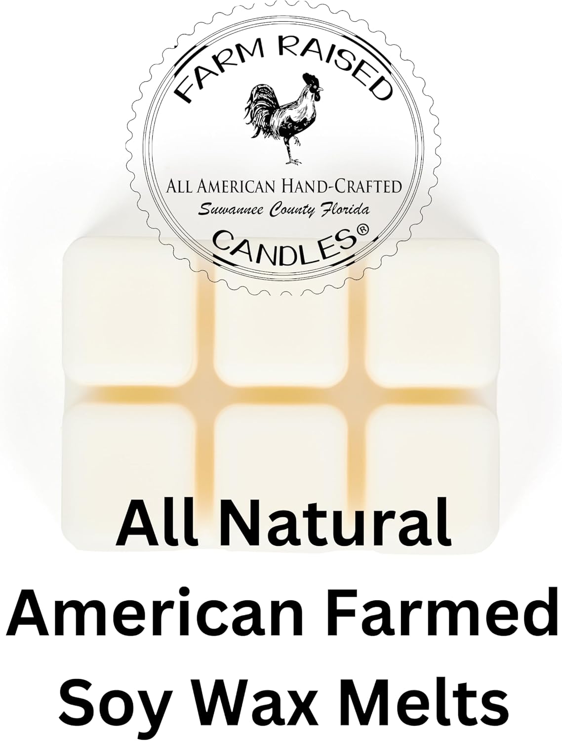 Soy Wax Melts 3-Pack (9 oz) | 100% American Soy Wax • Hand-Poured (Apple Cinnamon 3 Pack)