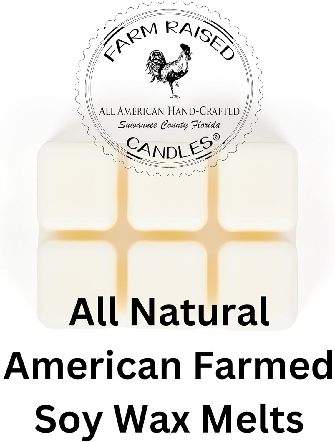 – Christmas Wonderland 16 oz Total (3 oz Each) 5-Pack Soy Wax Melts | Spiced Gingerbread, Holiday Vanilla Bean, Peppermint Crumble, Sugared Apples | 100% USA Made