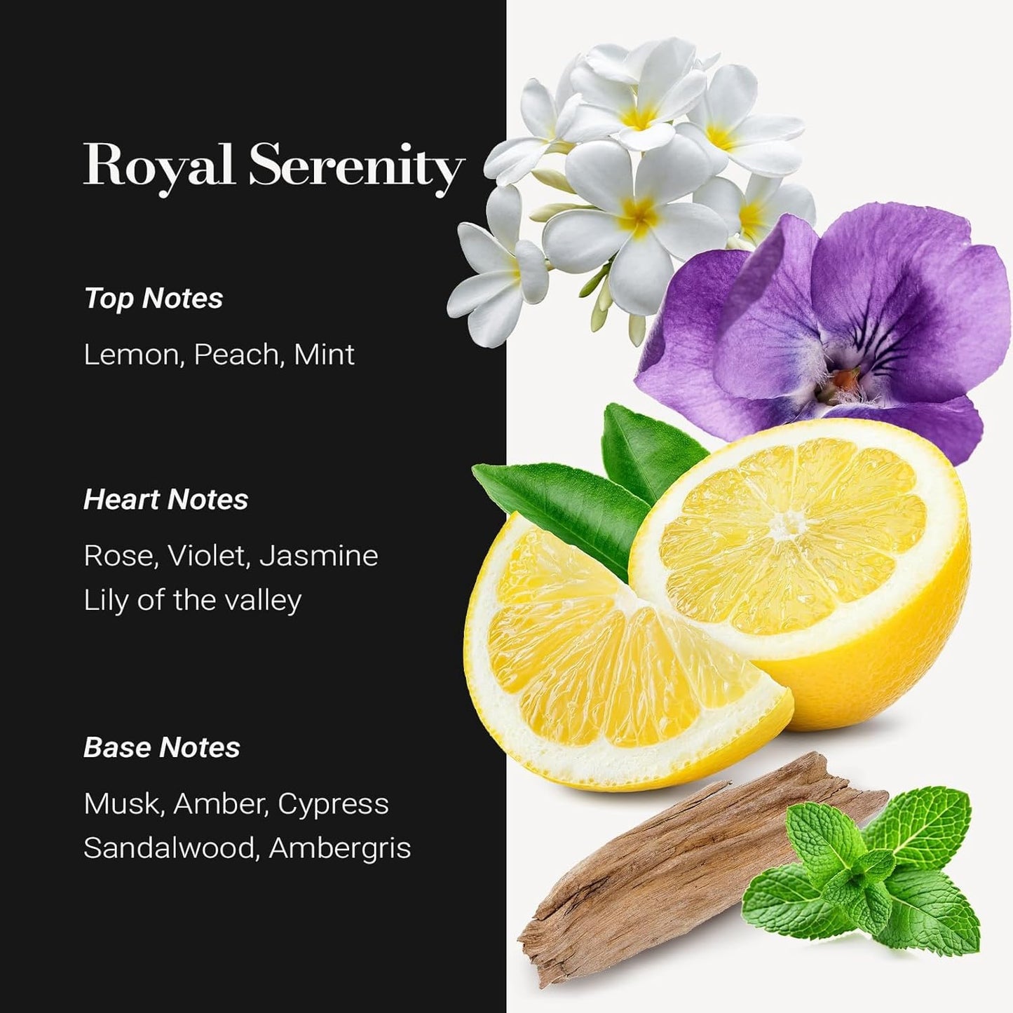 JCLOUD Royal Serenity Hotel Diffuser Oil 16.9 Fl Oz (500mL), Inspired by 5-Star Hotel Scent, Luxury Cold Air Diffuser Oil Refill & Essential Oils Bulk for Home, Offices
