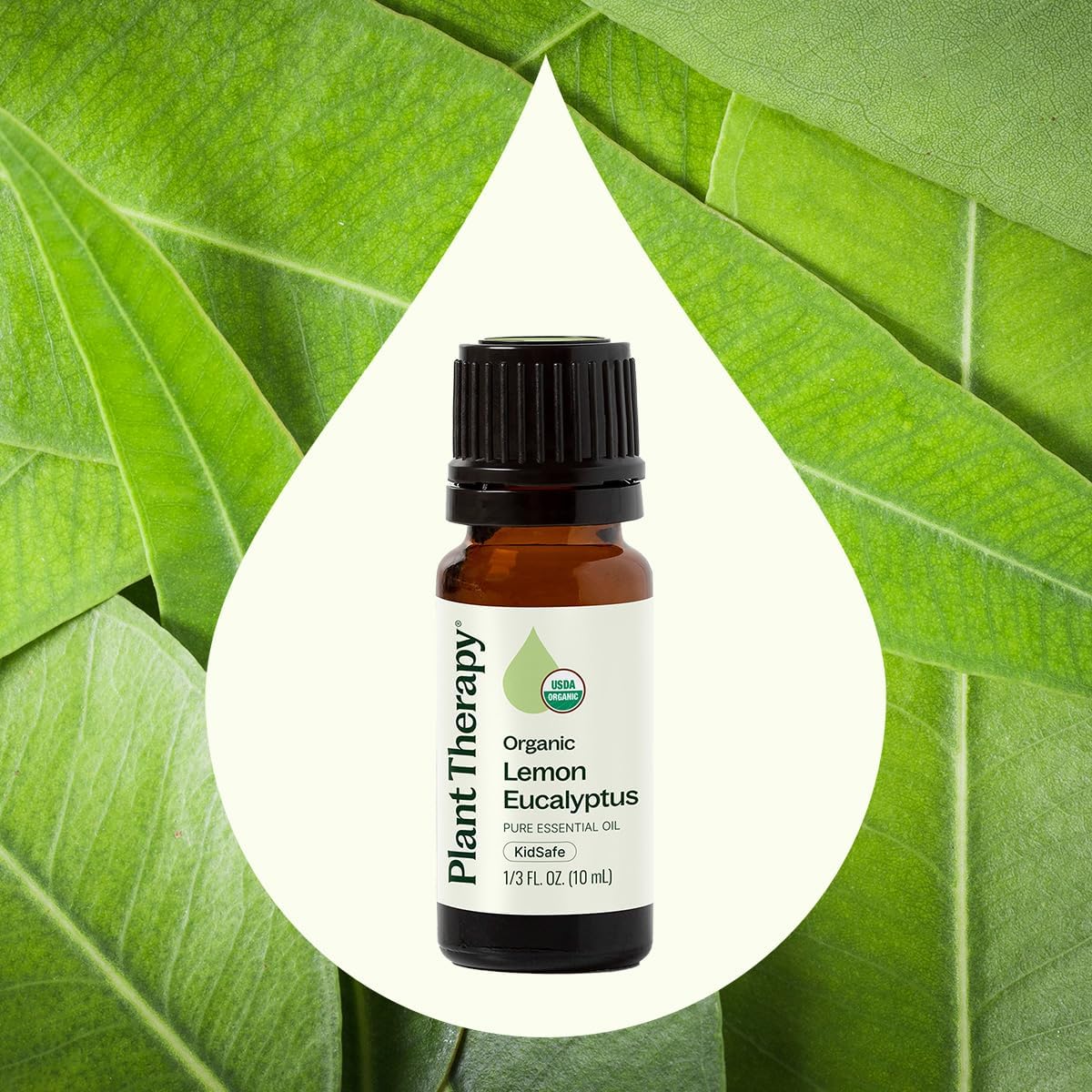 Plant Therapy Organic Lemon Eucalyptus Essential Oil 10 mL (1/3 oz) 100% Pure, USDA Certified Organic, Undiluted, Natural Aromatherapy, Fresh Scent for Deodorizing