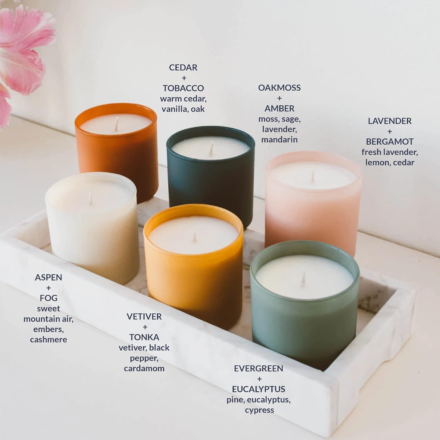 Calyan Wax Co. Dignity Series Scented Candle Gift Set - 6 Scented Candles - 35 Hour Burn - Luxury Clean Soy Wax Candles - Long Lasting Colorful Ceramic Jar Candle for Home - 5.3oz