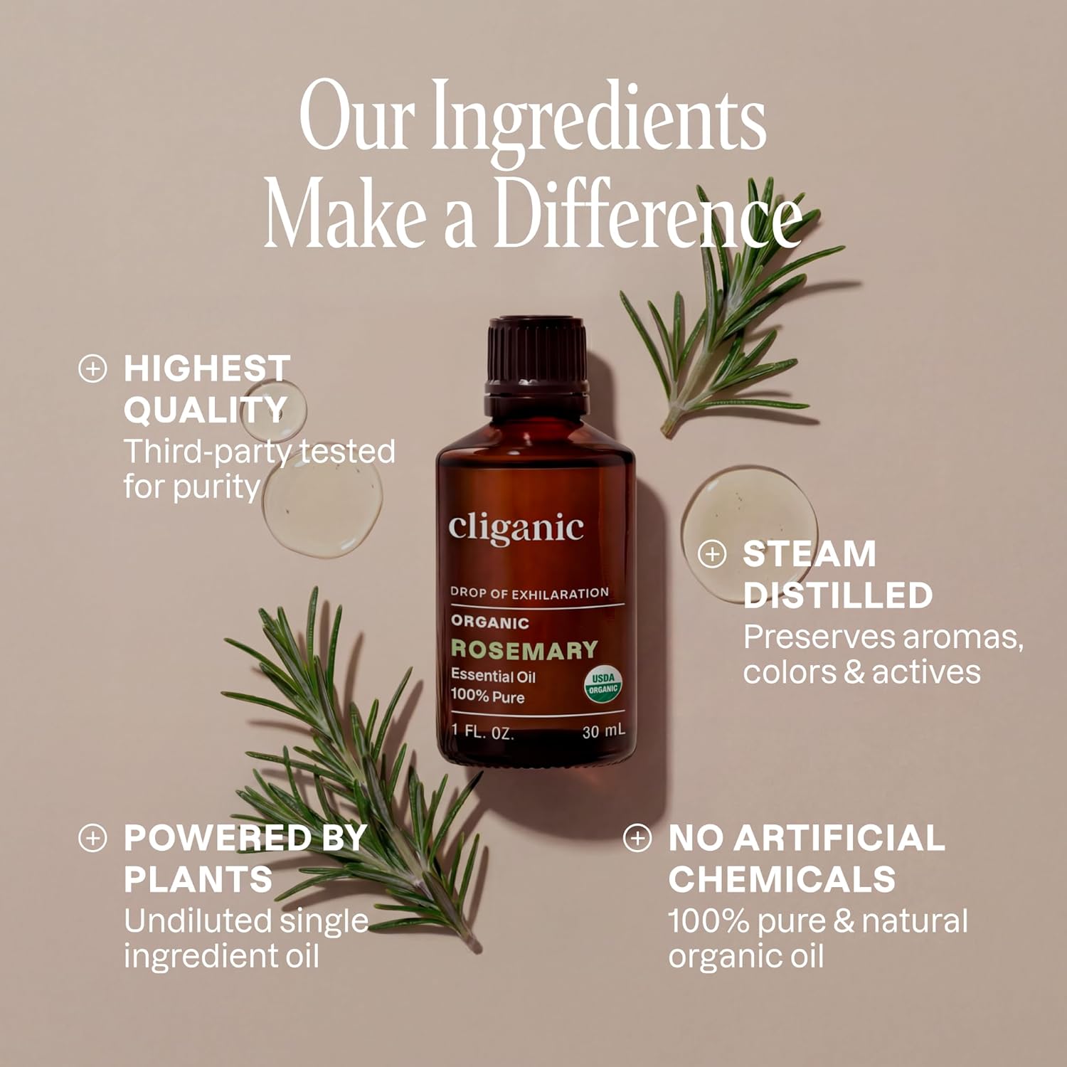 Cliganic Organic Rosemary Essential Oil, 2oz - 100% Pure Natural Undiluted, for Aromatherapy | Non-GMO Verified