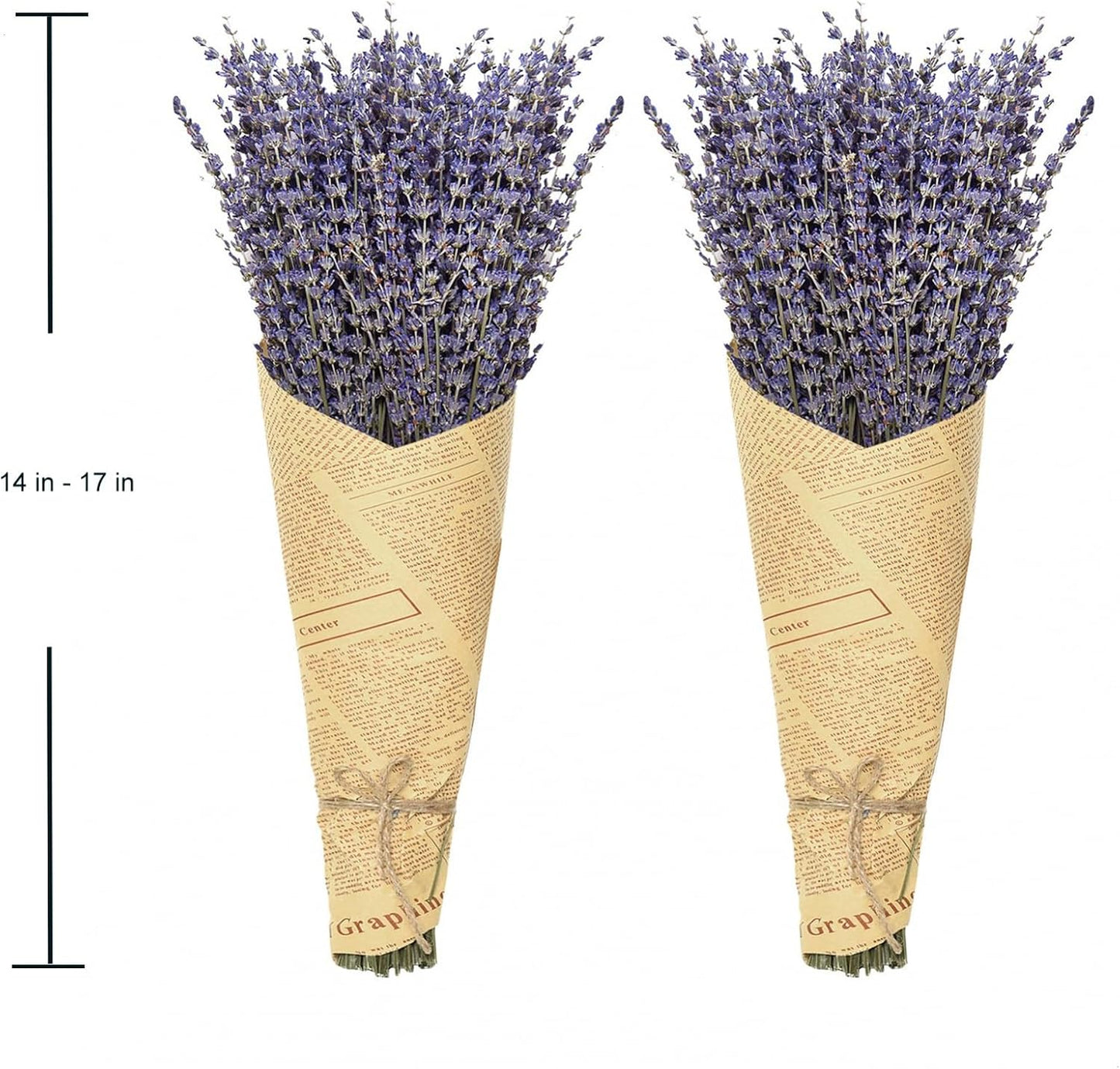 Timoo Dried Lavender Bundles 100 Natural Dried Lavender Flowers for Home Decoration, Photo Props, Home Fragrance, 2 Bundles Pack