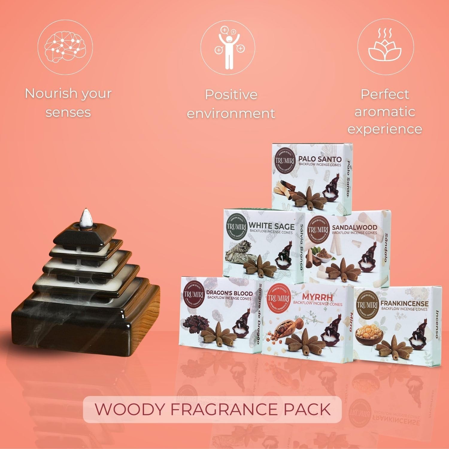 Woody - Backflow Incense Cones for Waterfall - Scented Inscents-Cones - Sandalwood, Dragons Blood, Palo Santo, White Sage - Insiensos Aromaticos - 6x10=60 Large Variety Pack - Back Flow Down Reverse