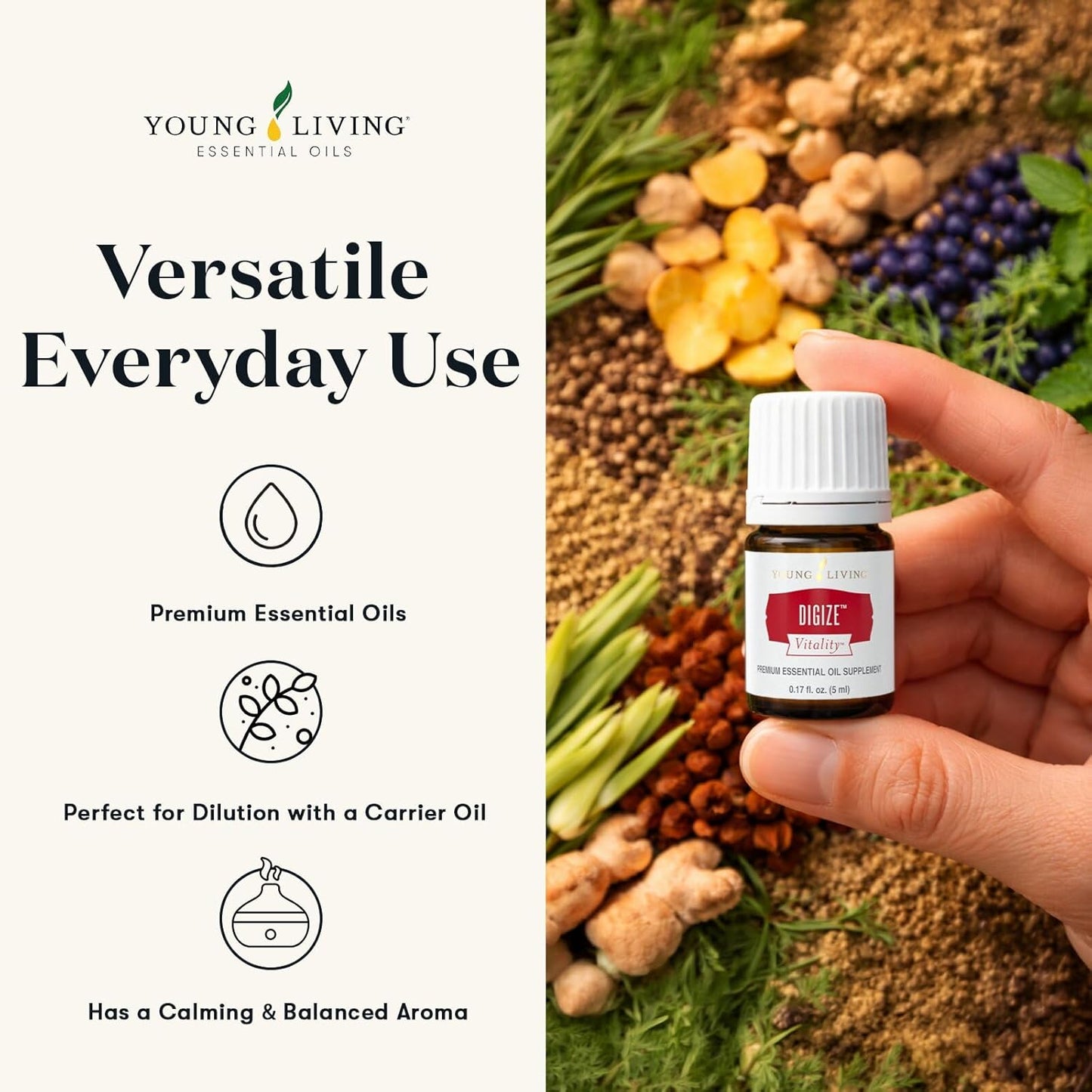 Young Living DiGize Essential Oil Blend | 5 ml | Soothing Aromatherapy Experience | Ideal for Diffusion & Massage | Premium Quality | Complex, Calming Aroma for Relaxation