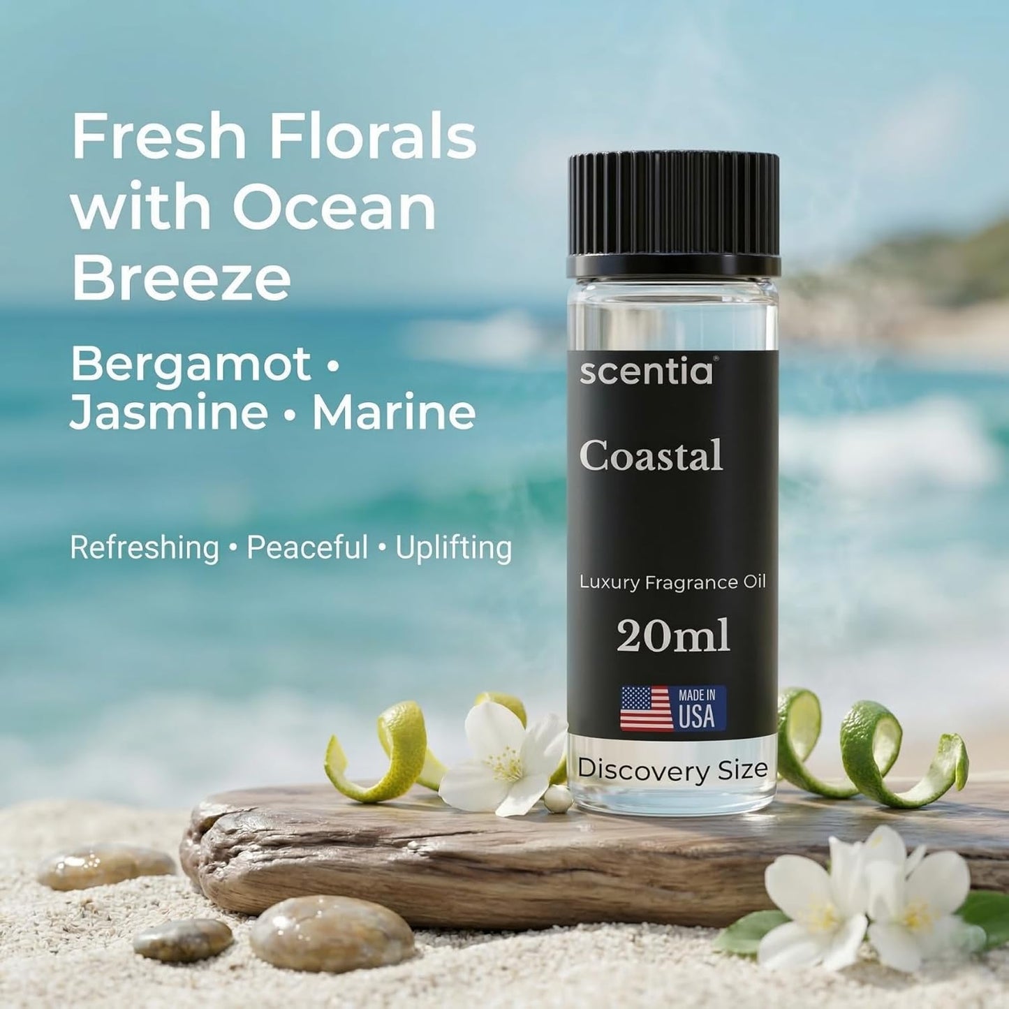 Scentia Coastal (Cabana) Aromatherapy Oil for Diffuser – Hotel Scent Inspired by 5-Star Spa – 20 mL – Jasmine, Bergamot & Sea Breeze Natural Fragrance Oil for Waterless & Cold Air Diffusers