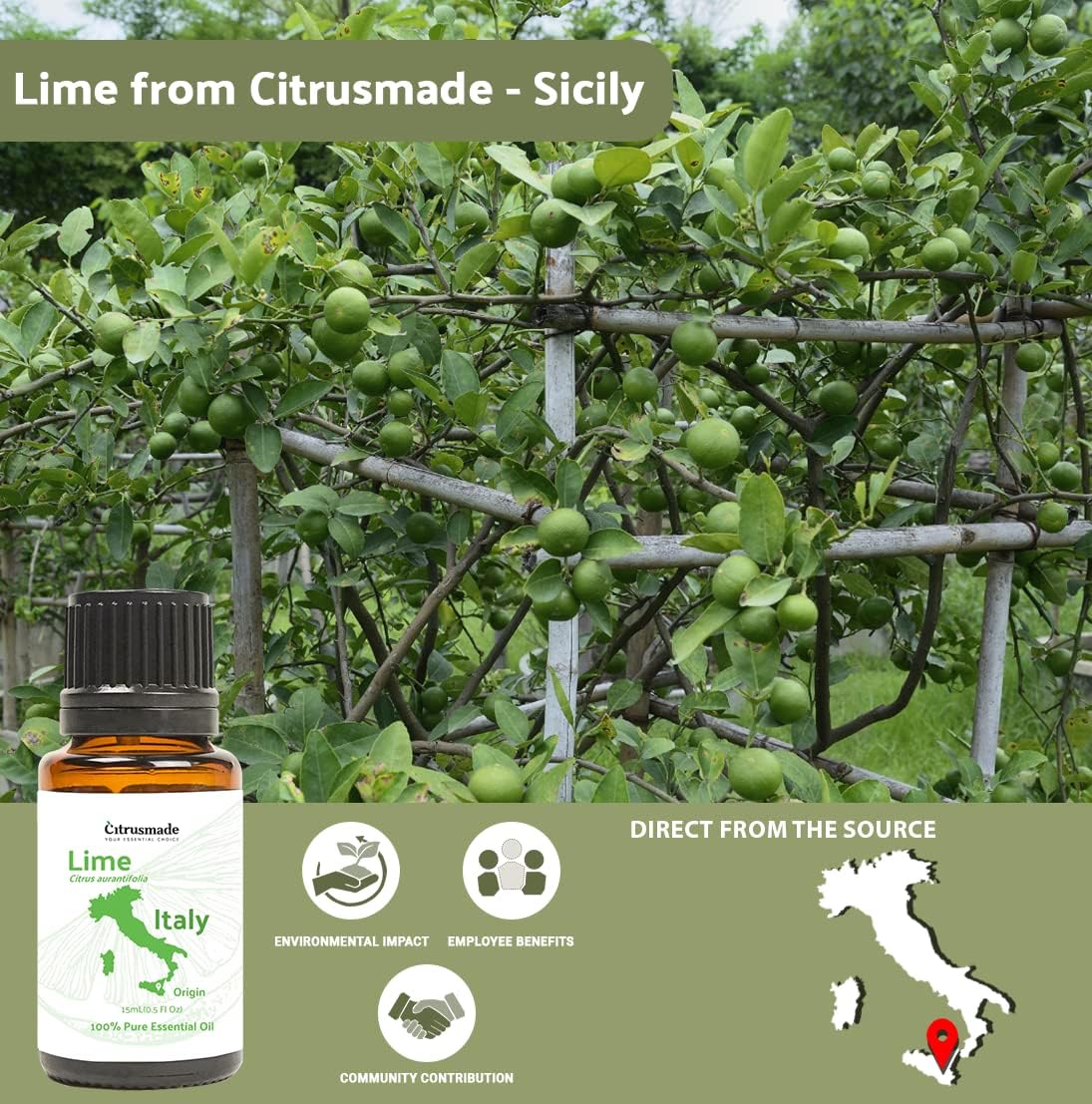 Lime Essential Oil - Direct from Citrusmade in Sicily- Pure Essential Oils for Diffusers and Aromatherapy in The Mediterranean - 100% Pure Therapeutic Grade (15ml)
