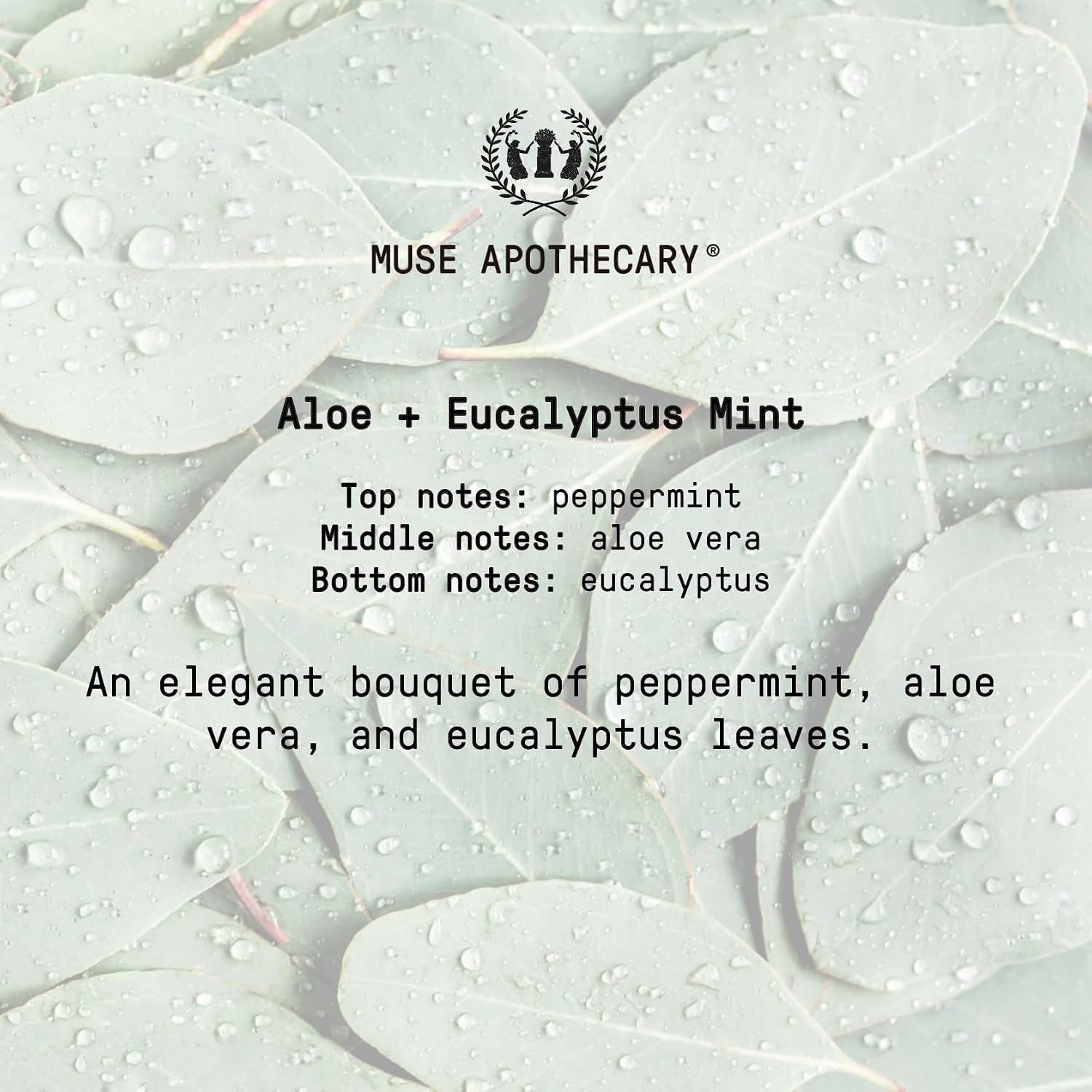 Muse Apothecary Study Ritual - Aromatic and Invigorating Room Mist, 8 oz, Infused with Natural Essential Oils - Aloe + Eucalyptus Mint