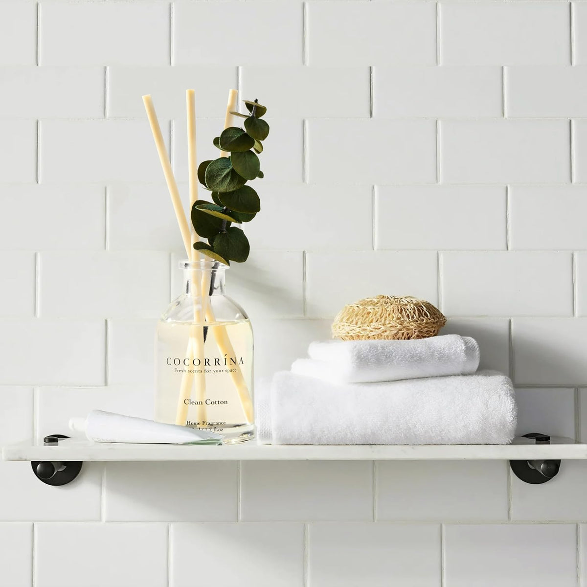 COCORRÍNA Reed Diffuser Set of 3 with Dried Eucalyptus for Home &amp; Office