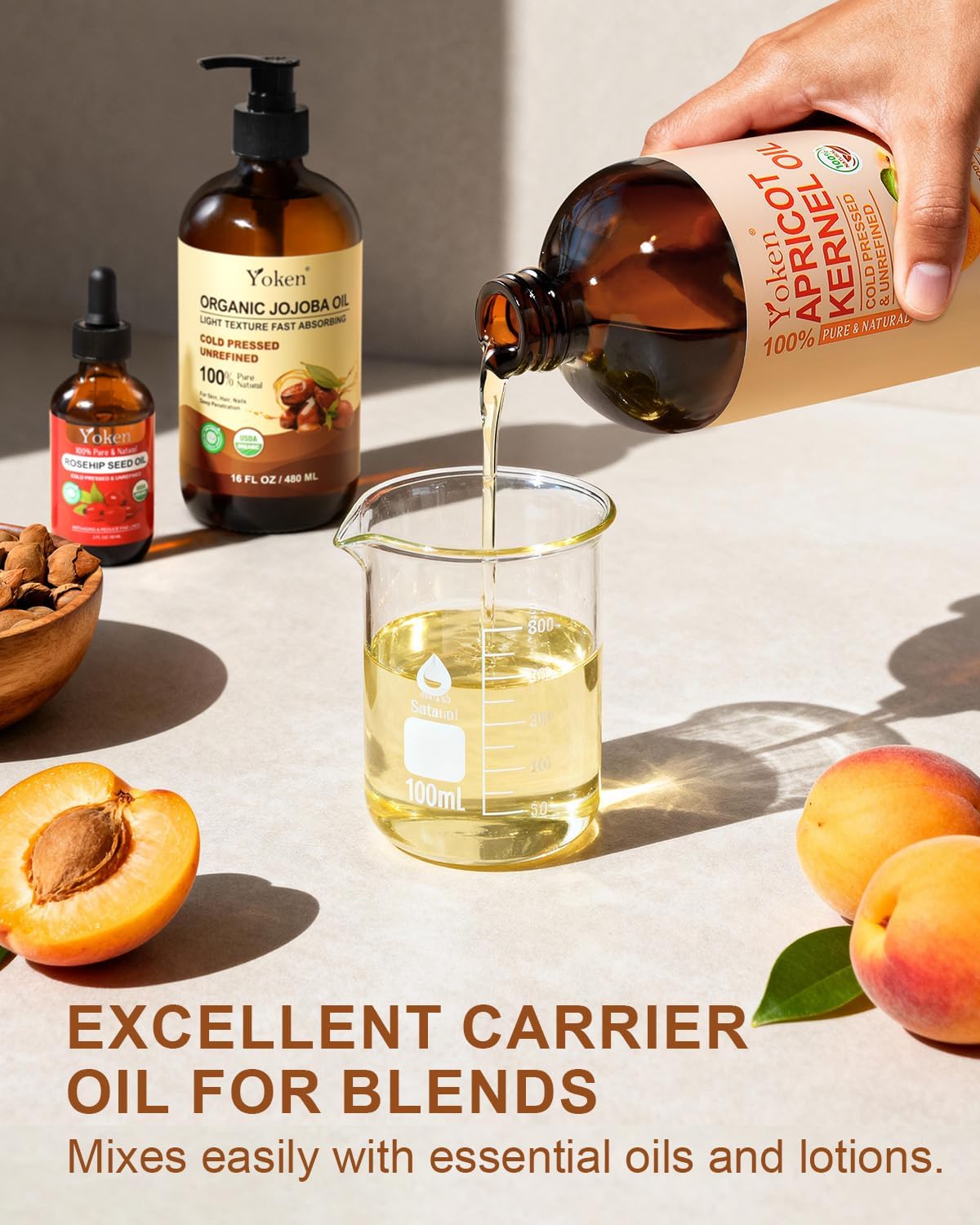 Yoken Cold Pressed Apricot Kernel Oil 16 fl oz Glass Bottle - Single Ingredient 100% Pure and Natural Apricot Oil, Lightweight Carrier & Massage Oil for Skin & Hair, Unscented & Hexane Free