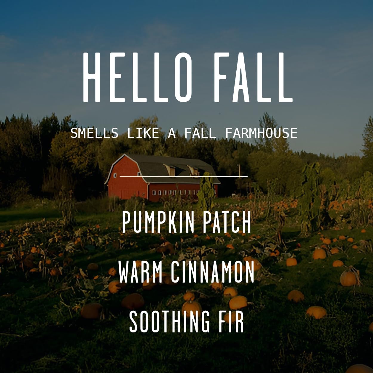 Fall Candles - 'Hello Fall Scented Candle' w/Cinnamon, Pumpkin & Fir I Infused with Essential Oils Autumn Scented Soy Candles for Home Décor, 9oz Reusable Jar, 50Hr Burn, Made in USA
