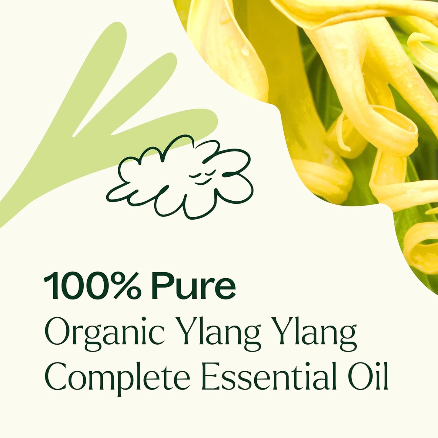 Ylang Ylang Complete Organic Essential Oil 10 mL (1/3 oz),100% Pure, USDA Certified Organic, Undiluted, Natural Aromatherapy, Romantic, Soothing Scent