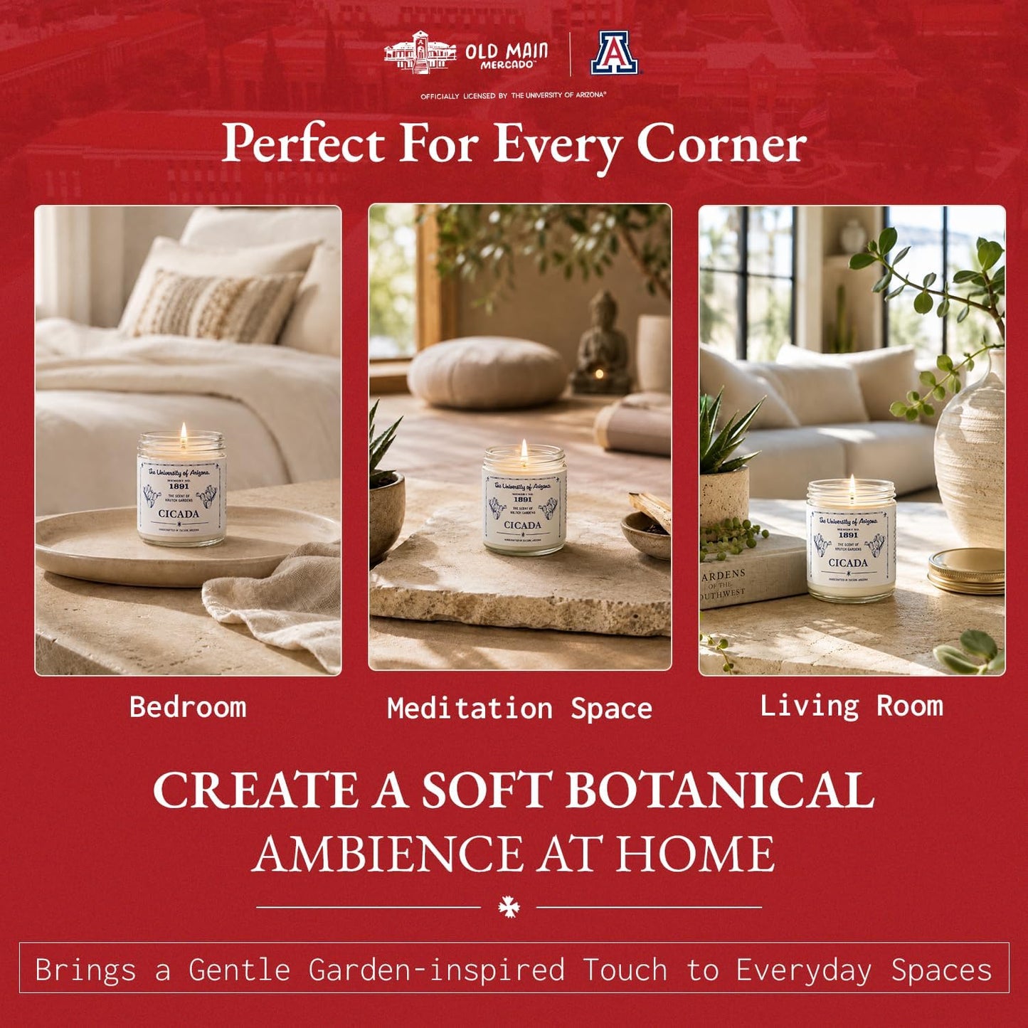 CICADA Succulent Garden Scented Candle Memory No.1891, University of Arizona Inspired Coconut-Soy Blend Wax, Cotton Wick, Cactus Sap Garden Greens Desert Soil Aroma, Hand-Poured Arizona Home Fragrance