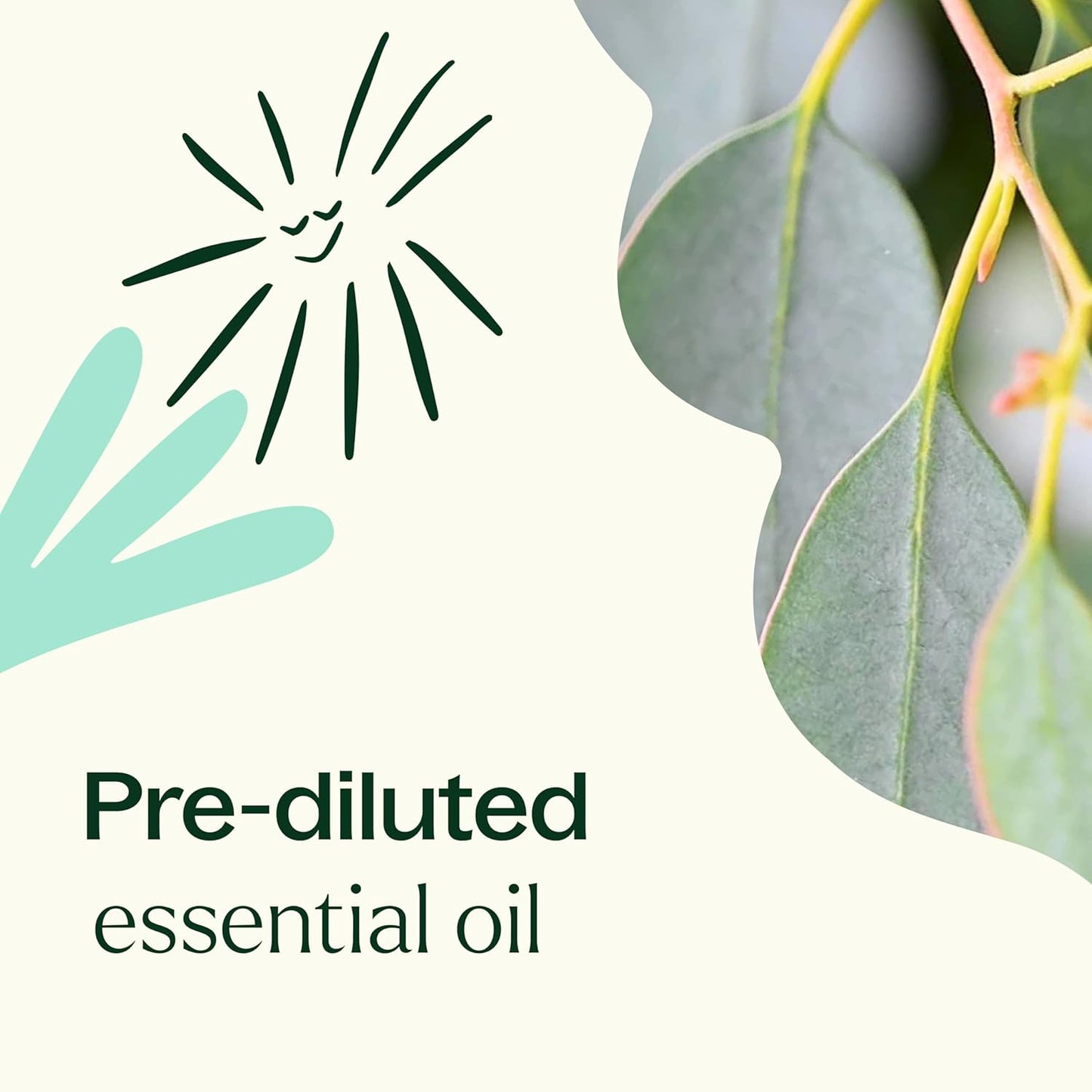 Plant Therapy Eucalyptus Pre-Diluted Essential Oil Roll-On 10mL (1/3 oz), 100% Pure, for Clear Breathing, Aromatherapy and Topical Use (Pack of 2)
