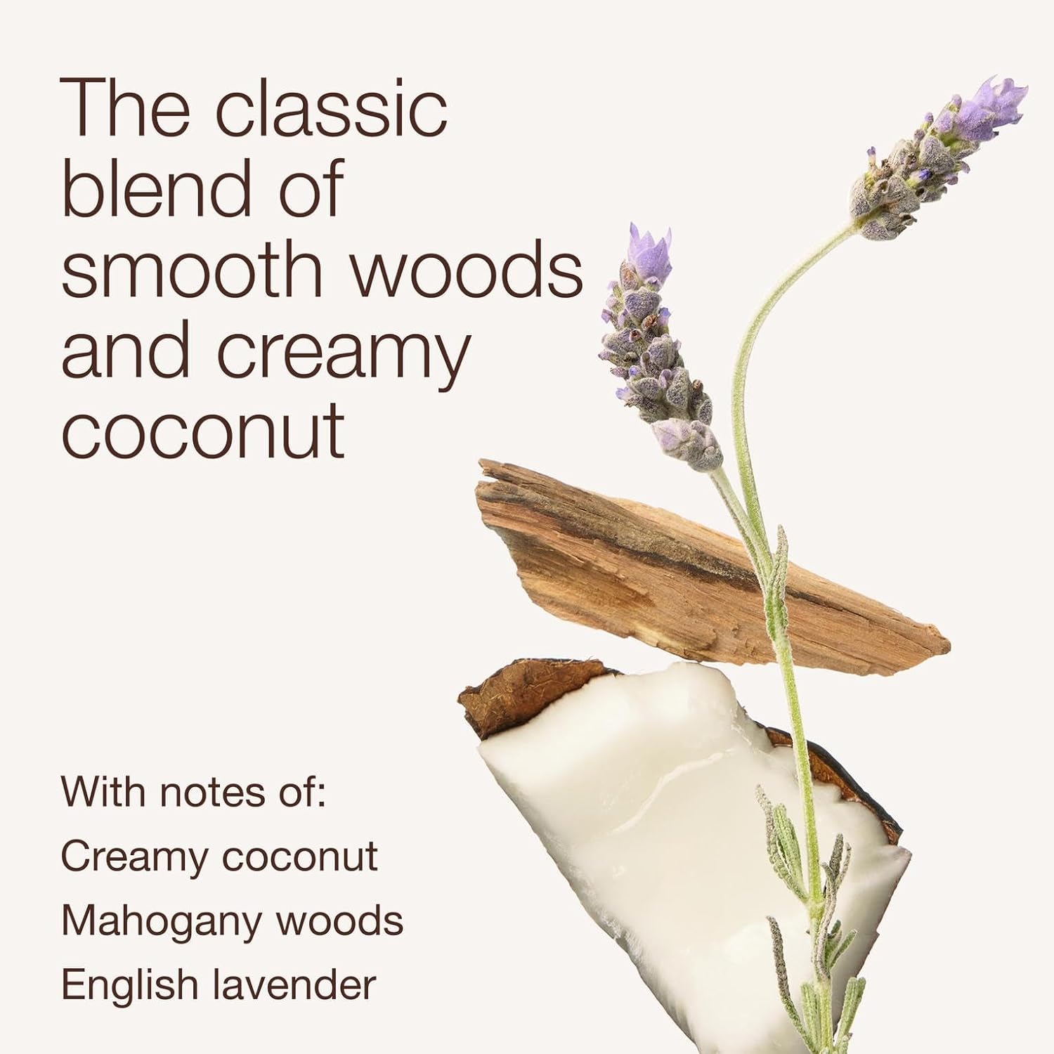 Bath & Body Works Single Wick Candle, Mahogany Coconut Candle, Long-Lasting Burn Up to 45 Hours, Exclusively Fragranced Soy Wax Blend, 8 oz - 1 Pack