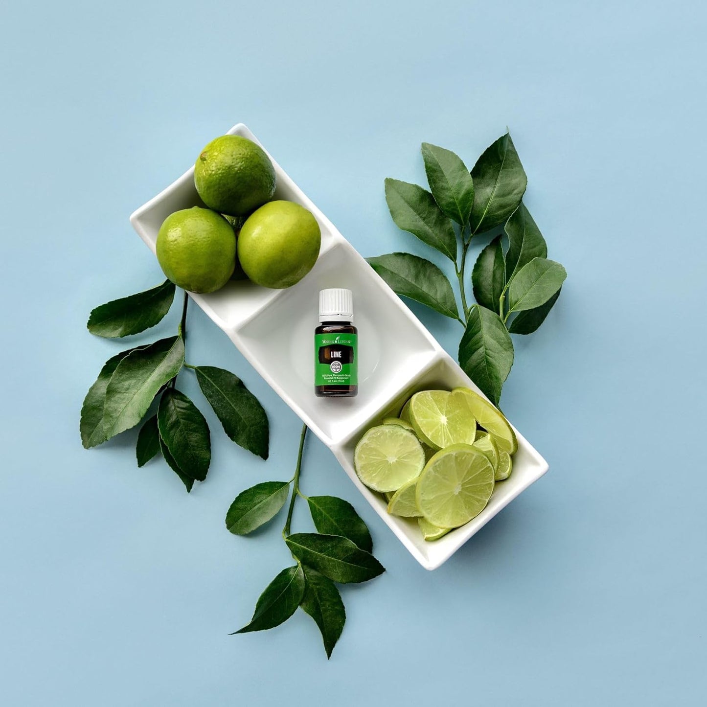 Young Living Lime Essential Oil 15 ml | Bright Citrus Aroma for Diffusers, Massage & Aromatherapy | Cold Pressed Lime Peel Botanical Oil | Fresh Zesty Fragrance | Seed to Seal Quality