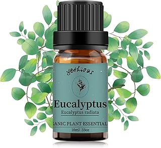 yethious Eucalyptus Essential Oils for Diffuser & Aromatherapy Pure Eucalyptus Oil for Skin, Hair Gift Oils - 10ML