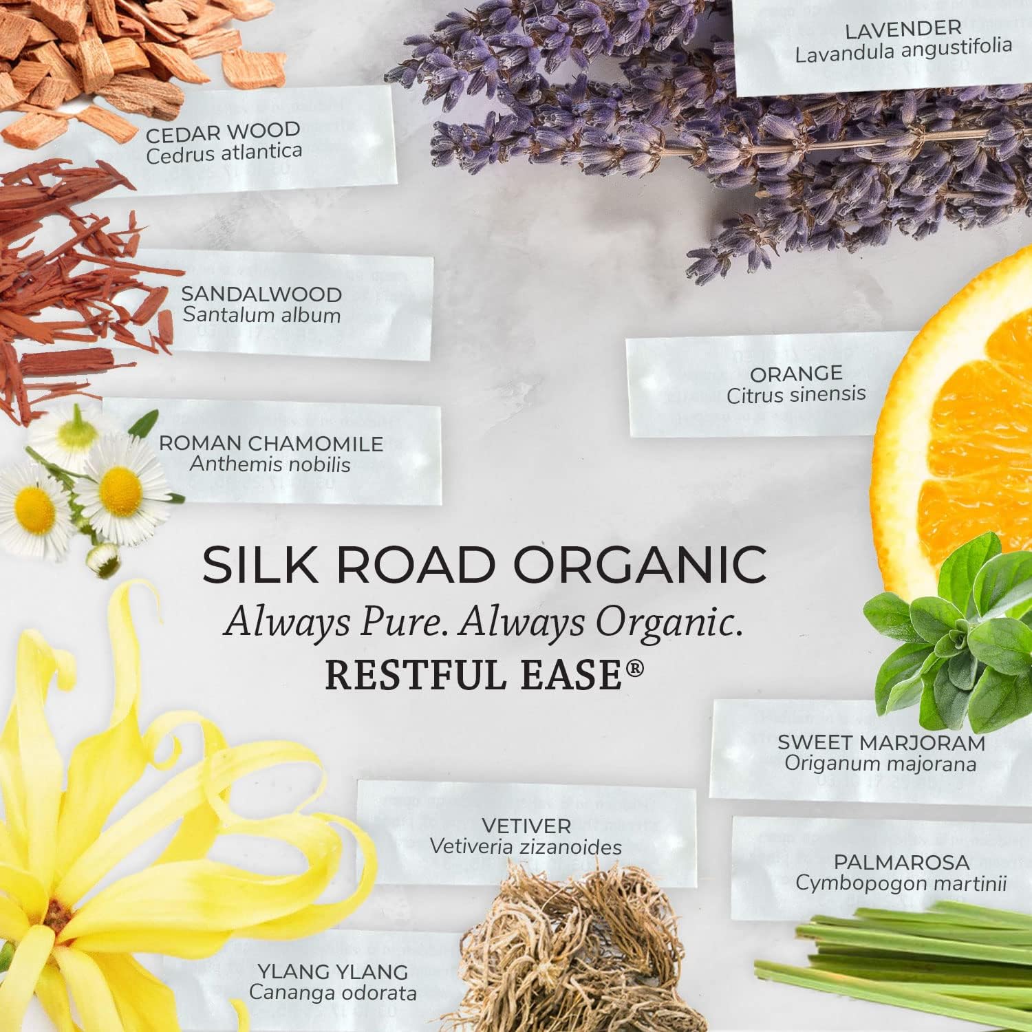 Silk Road Organic Restful Ease Essential Oil Sleep & Stress Blend - 100% Pure USDA Certified with Indian Sandalwood - Stress Ease Aromatherapy & Calming Relaxation - 10 ml Dropper
