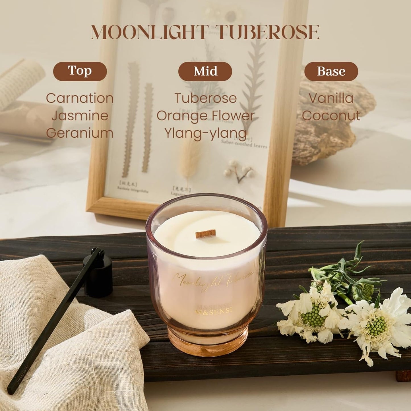 M&SENSE 9.9oz Natural Soy Wax Jar Candle with Wooden Wick | Moonlight Tuberose Scent | 55-Hour Burn & Long-Lasting Burn | Housewarming Gift for Men and Women