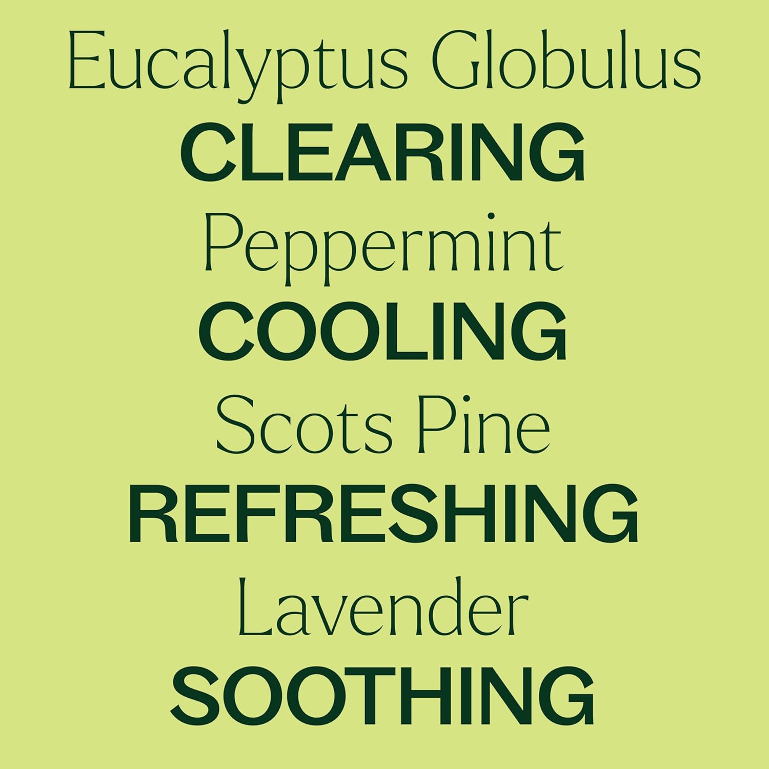 Plant Therapy Respir Aid Essential Oil Blend, 10 mL (1/3 oz), Sinus, Airway and Congestion Clearing Oil Blend, 100% Pure and Undiluted, Natural Aromatherapy