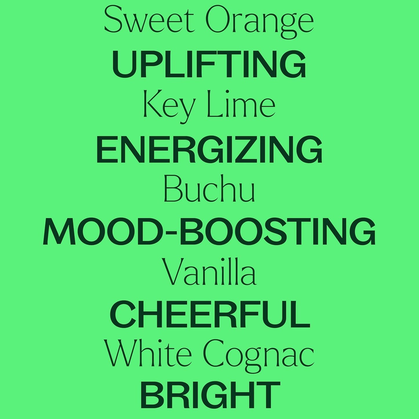 Plant Therapy Tropical Scents Home Set of 3 Essential Oil Blends Including Natural Scents to Scent Your Home with Honeybell, Lime in The Coconut & Tropical Passion 10 mL (1/3 oz) Each