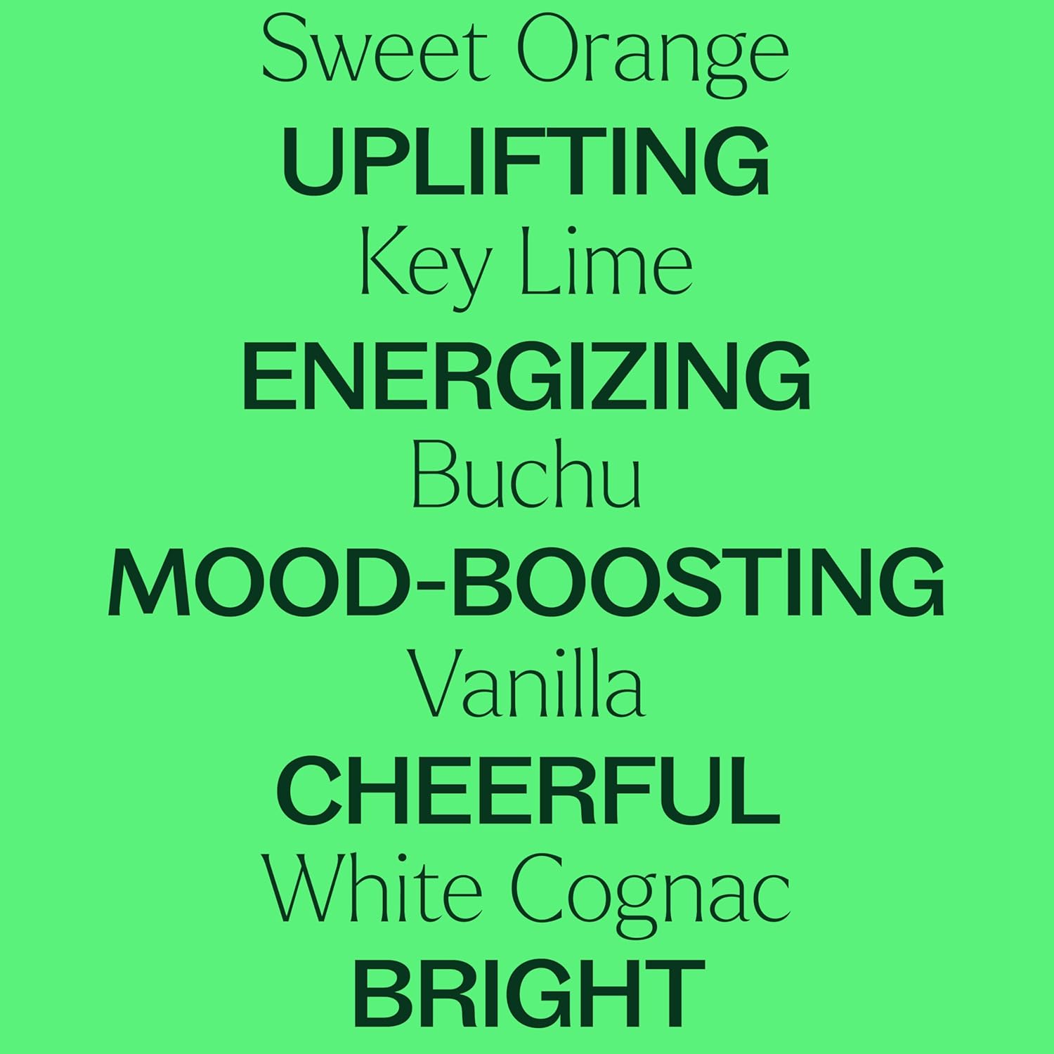 Plant Therapy Tropical Scents Home Set of 3 Essential Oil Blends Including Natural Scents to Scent Your Home with Honeybell, Lime in The Coconut & Tropical Passion 10 mL (1/3 oz) Each