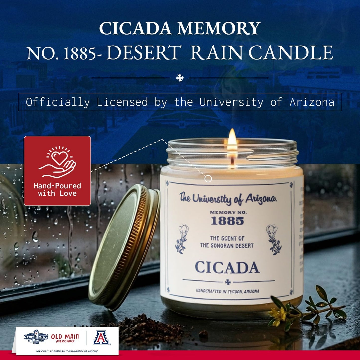 CICADA Desert Rain Scented Candle, Memory No. 1885, University of Arizona Inspired Coconut Soy Blend Wax, Cotton Wick, Earth Honey Citrus Creosote Aroma, Hand Poured Arizona Reveries Home Fragrance