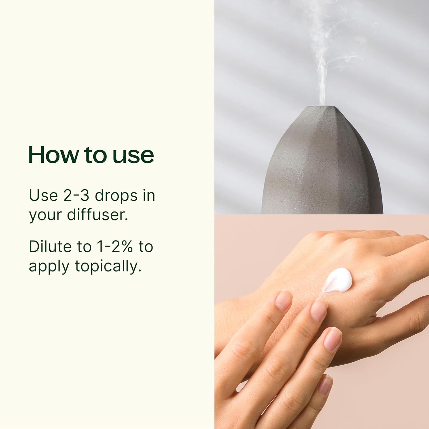 Plant Therapy Ravintsara Essential Oil 10 mL (1/3 oz) 100% Pure, Undiluted, Stimulating Aromatherapy for Respiratory Support and Joint Ache Relief