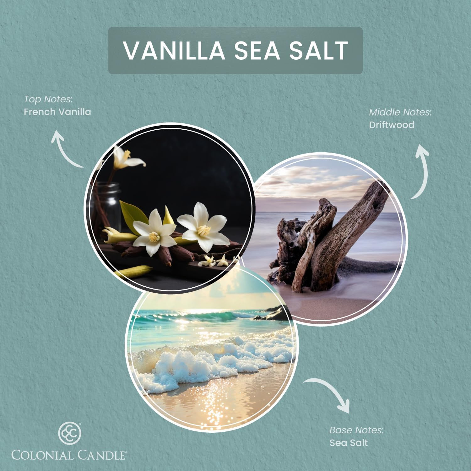 Colonial Candle Vanilla Sea Salt Scented Candle, Pop of Color Collection, 3 Wick, Blue, 14.5 oz - Up to 60 Hours Burn