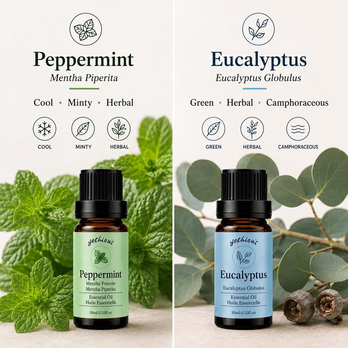 yethious Peppermint Eucalyptus Essential Oil 10ML Natural Peppermint Essential Oil Gift Set for Aromatherapy & Diffuser