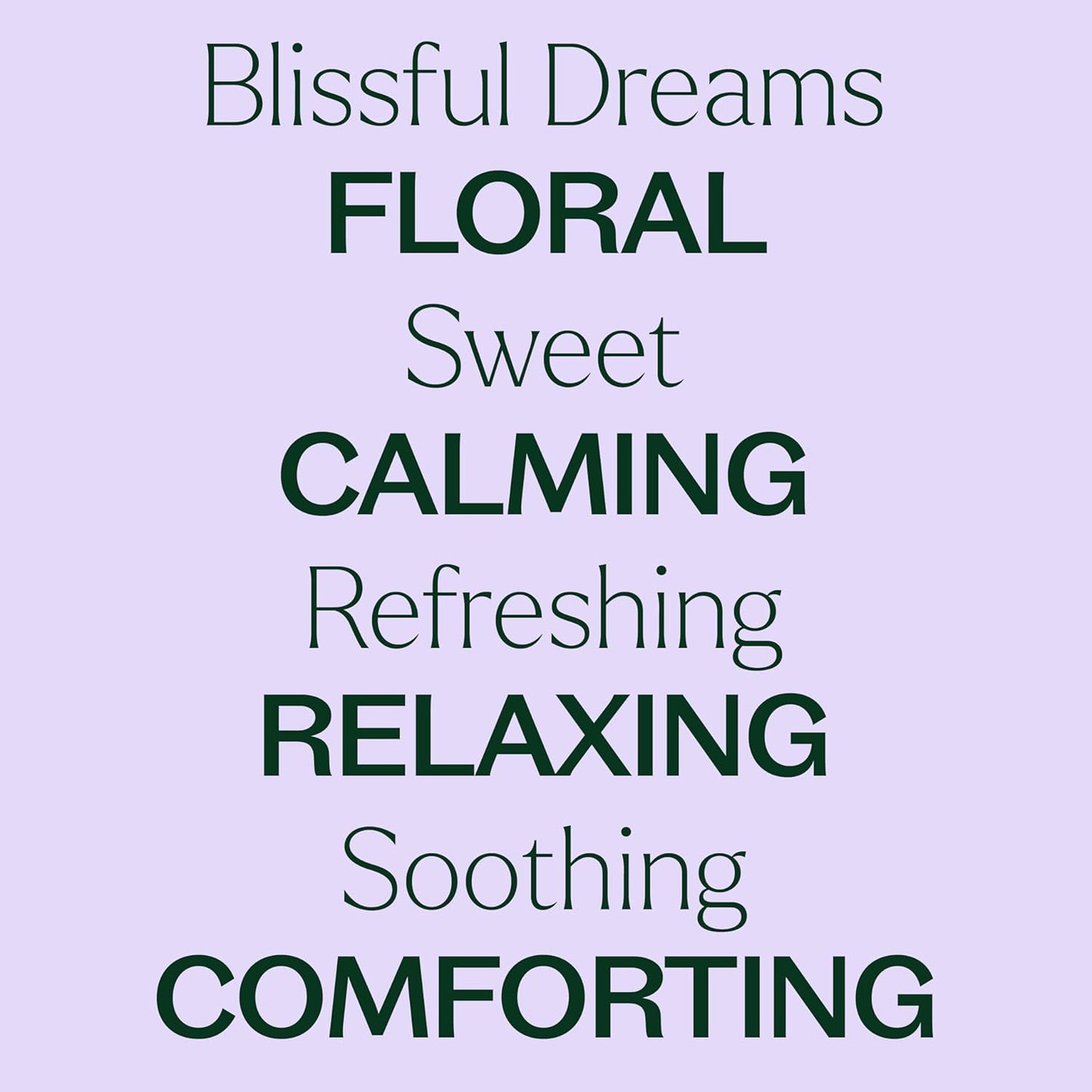 Plant Therapy Blissful Dreams Essential Oil Blend, For Relaxation While Supporting Quality Rest, Grounding and Soothing, Lovely Bedtime Aroma, 10 mL (1/3 oz) 100% Pure, Undiluted, Natural Aromatherapy