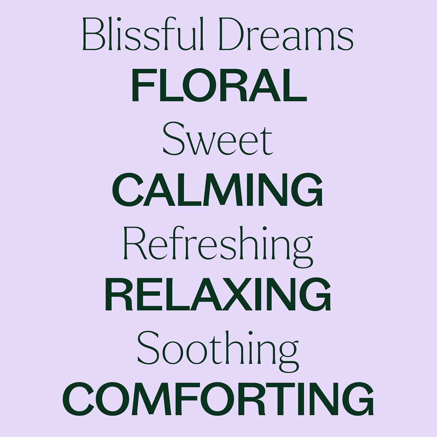 Plant Therapy Blissful Dreams Essential Oil Blend, For Relaxation While Supporting Quality Rest, Grounding and Soothing, Lovely Bedtime Aroma, 10 mL (1/3 oz) 100% Pure, Undiluted, Natural Aromatherapy