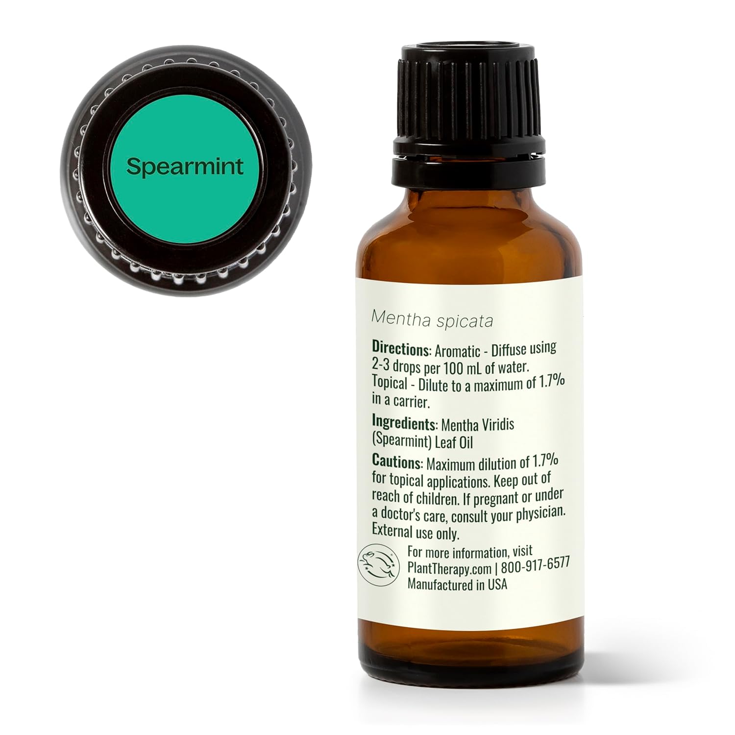 Plant Therapy Spearmint Essential Oil 30 mL (1 oz) 100% Pure, Undiluted, Digestive Health, Fresh Scent, Tension Relief