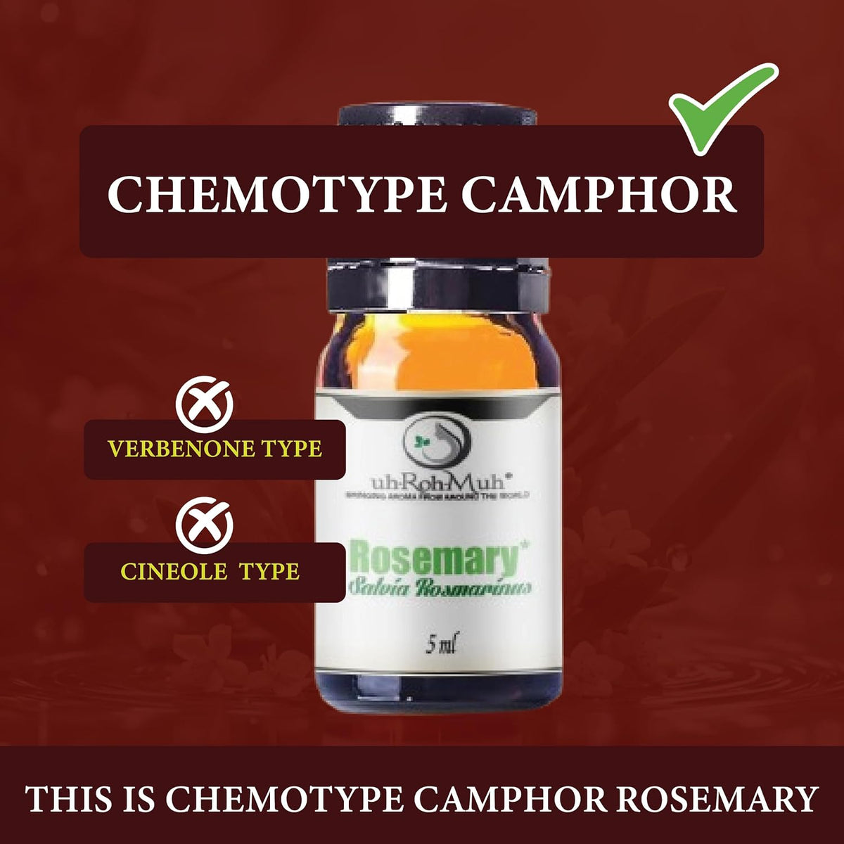 Organic Rosemary Essential Oil ct Camphor | 100% Pure Steam Distilled Aromatic Oil from Salvia rosmarinus Leaves | Fresh Herbaceous Camphor Aroma for Diffusers, Haircare | Spain 5ml w/Euro Dropper