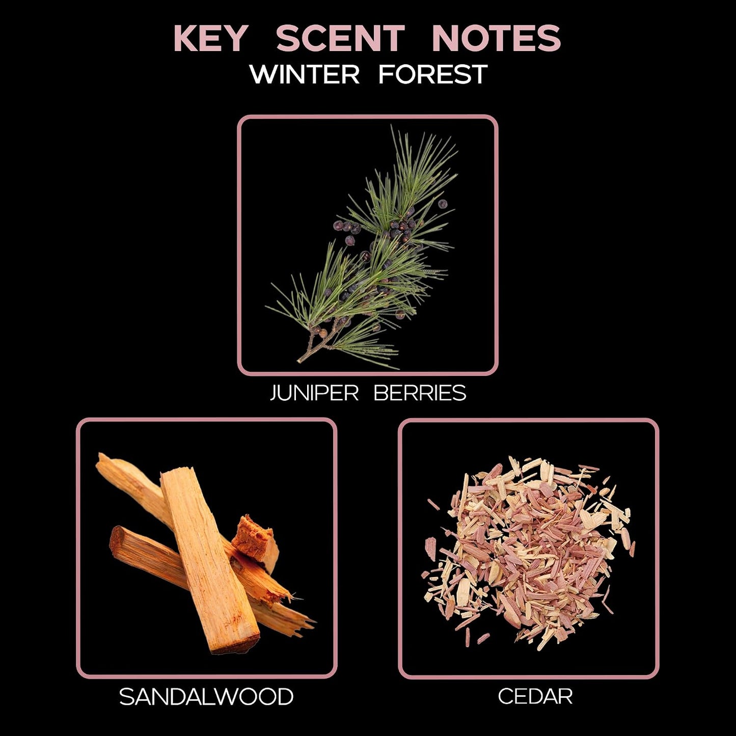 Winter Forest Reed Diffuser Oil Refill, 4 oz, Woody Fragrance, Aroma | Fir needles, juniper, and sandalwood profile, includes replacement reeds, entryway, living room, luxury home scent