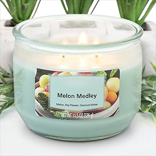 Melon Medley Scented 3 Wick Candle, 11.5 oz.