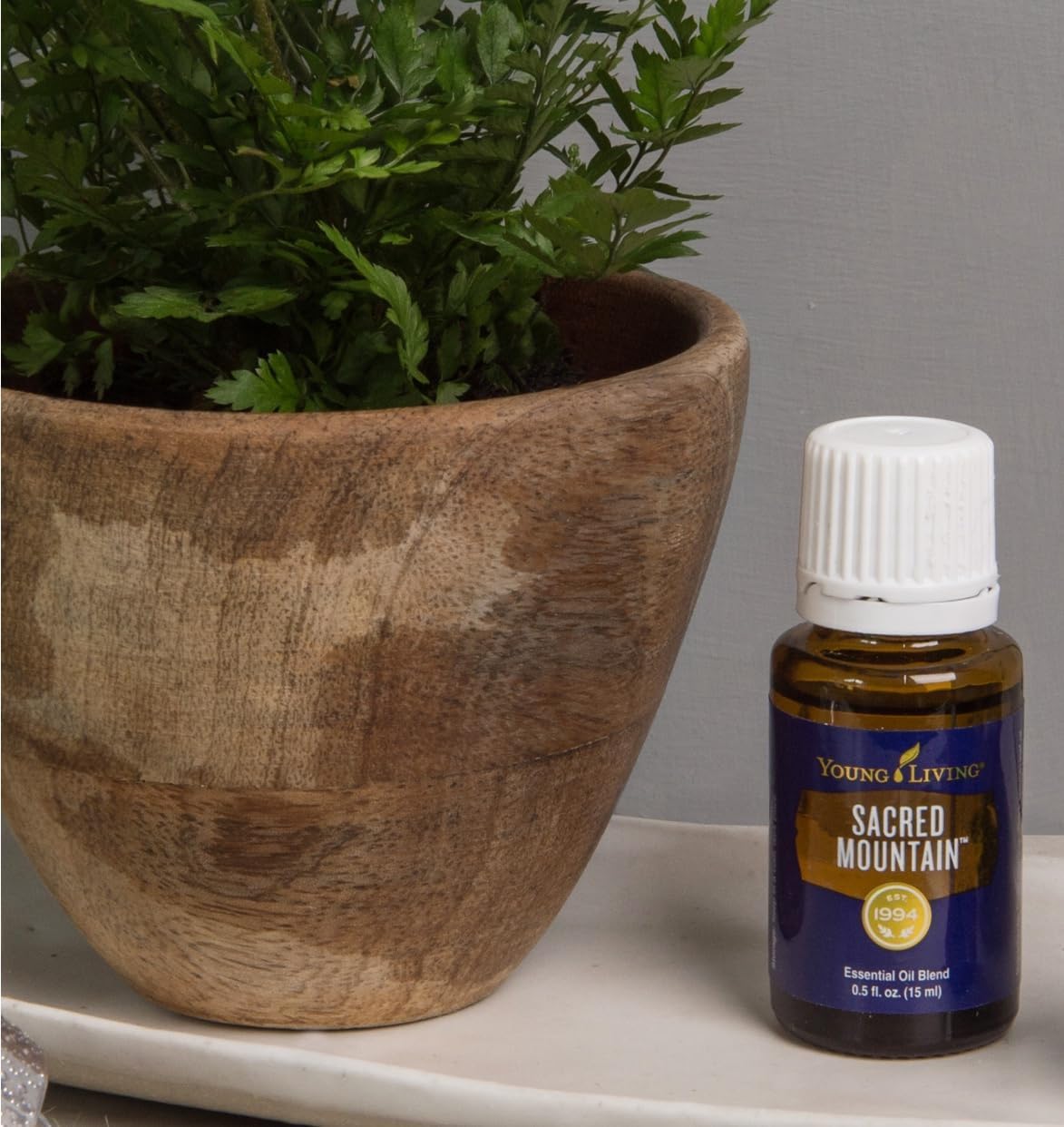 Young Living Sacred Mountain Essential Oil Blend | 15 ml | Inspiring and Grounding Aroma | Perfect for Diffusers or Topical Use | Seed to Seal Quality