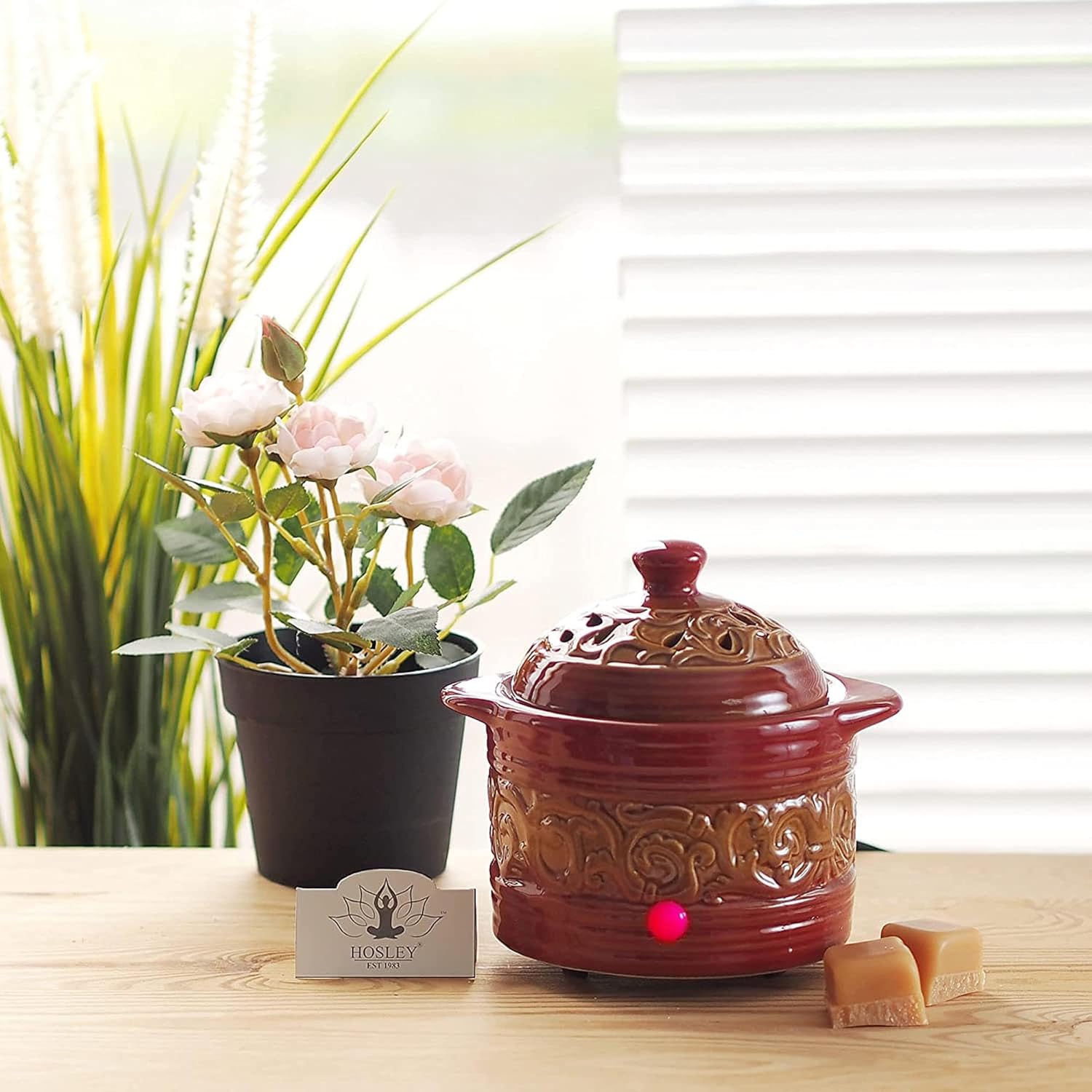 Hosley Red Electric Potpourri Warmer 5.5" High. Ideal Gift for Wedding, Special Occasions, Spa, Aromatherapy, Reiki, Meditation Settings and Home Office. O3