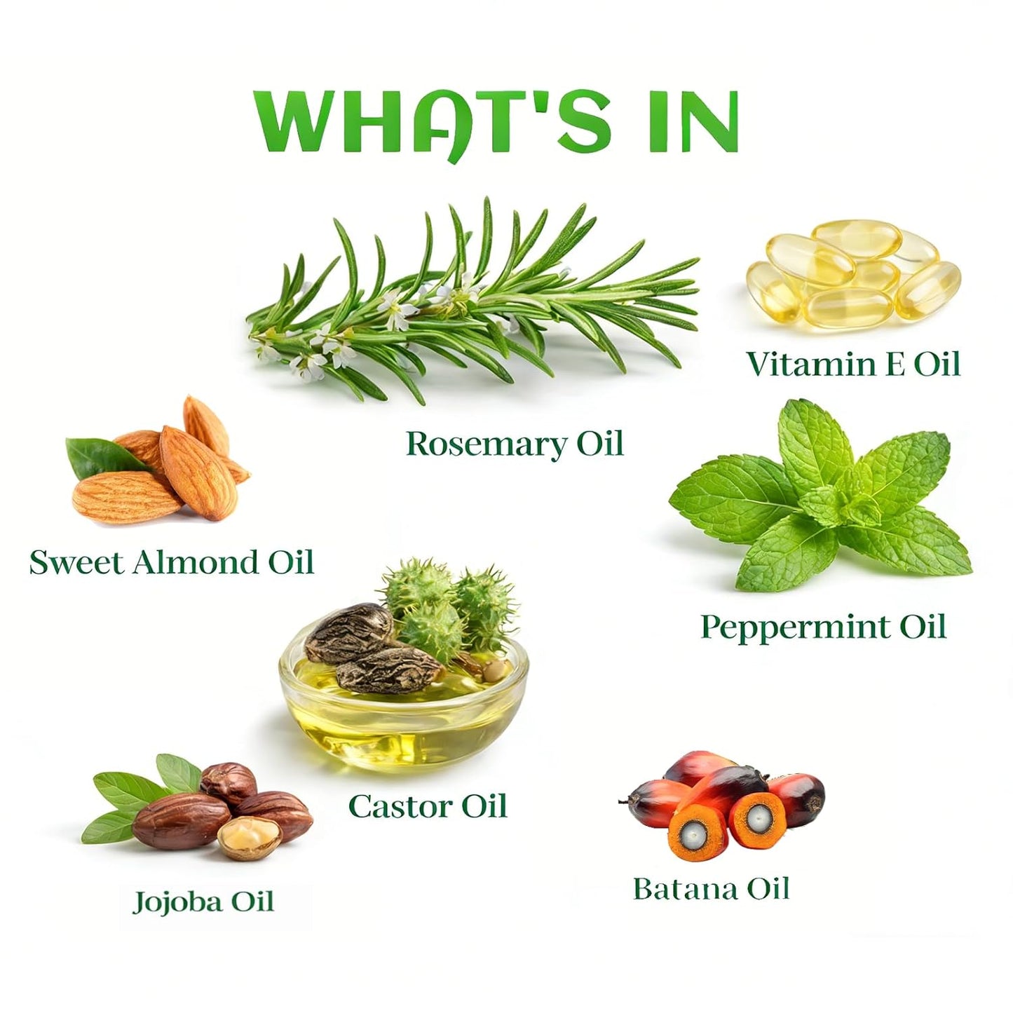 Rosemary Oil for Hair Growth with Castor, USDA Certified Organic Rose Mary Oils Cold Pressed Blend Oil for Thicker Eyebrow, Repair Damaged Hair-0.5 FL OZ
