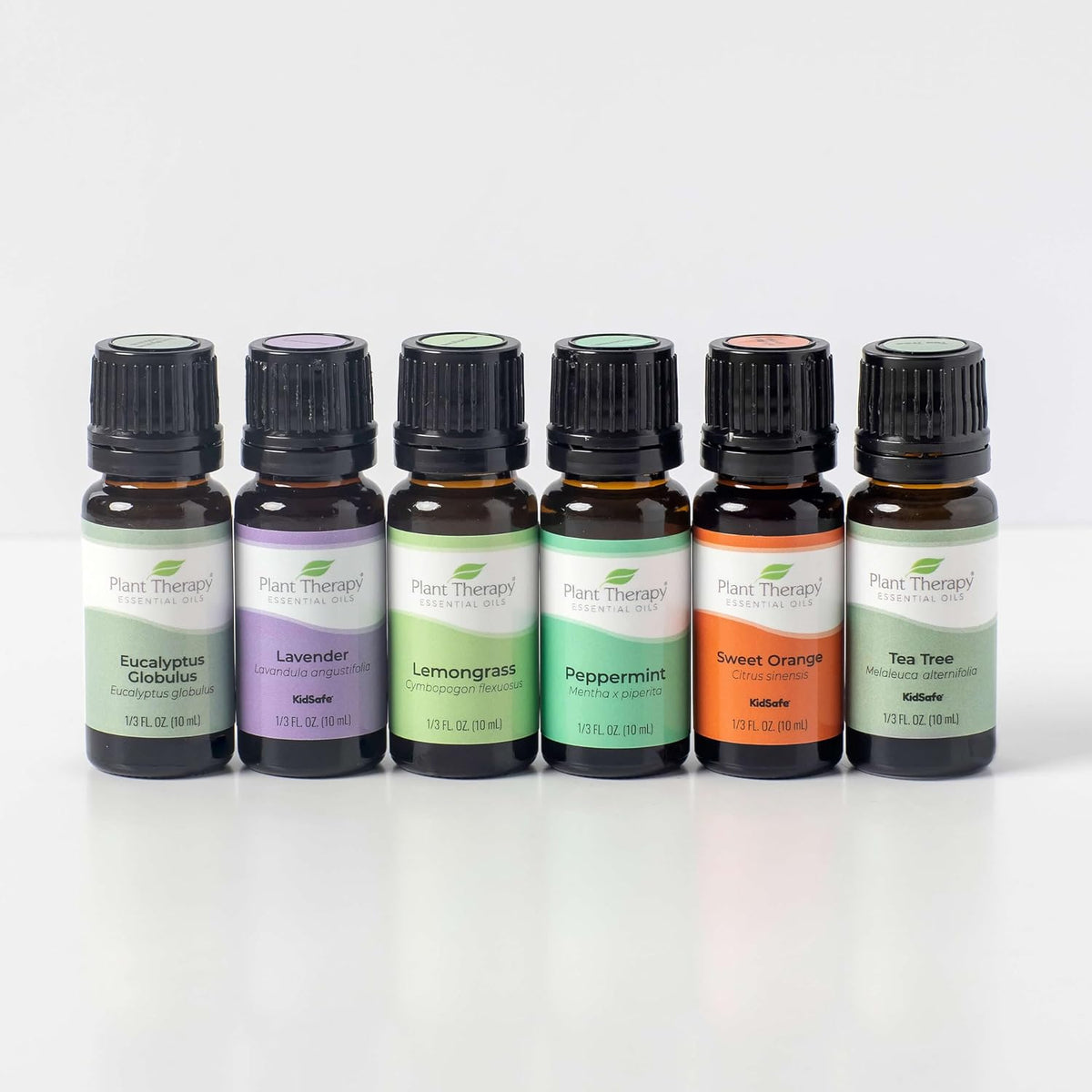 Plant Therapy Breathe Easy Essential Oil Set of 6 Bottles 10 mL (1/3 oz) Each