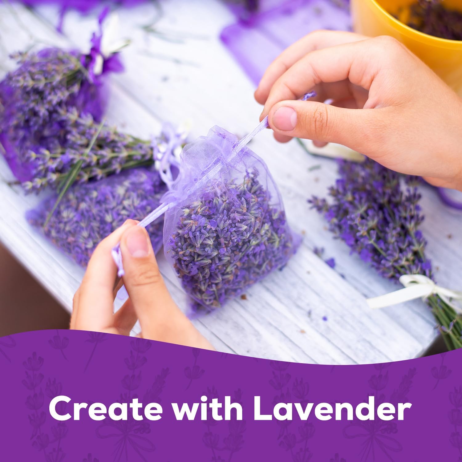 English Lavender Seeds for Planting - 1500+ Heirloom Seeds - High Germination, Fragrant Purple Flowers Herb Seeds for Home Garden, Indoor/Outdoor