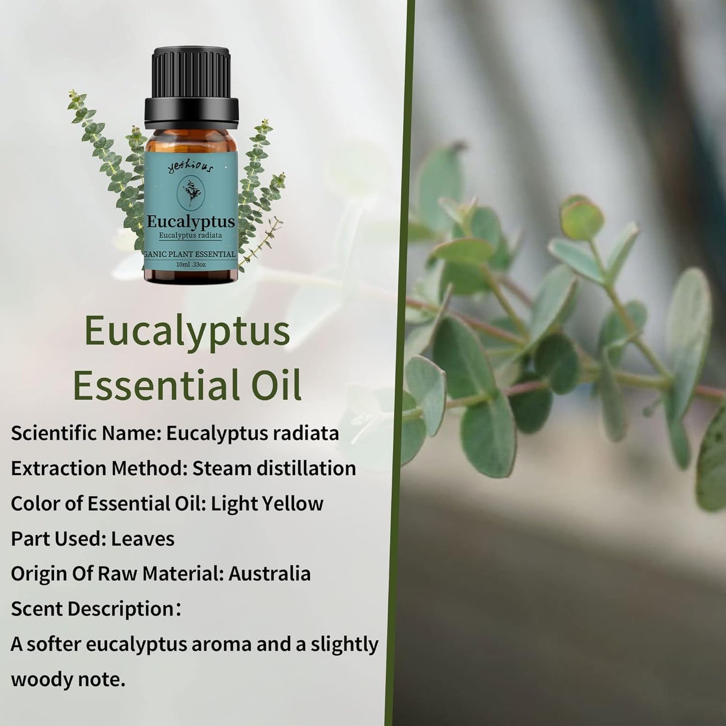 yethious Peppermint Eucalyptus Essential Oil 10ML Natural Peppermint Essential Oil Gift Set for Aromatherapy & Diffuser, Fragrance, Soap Candle Making