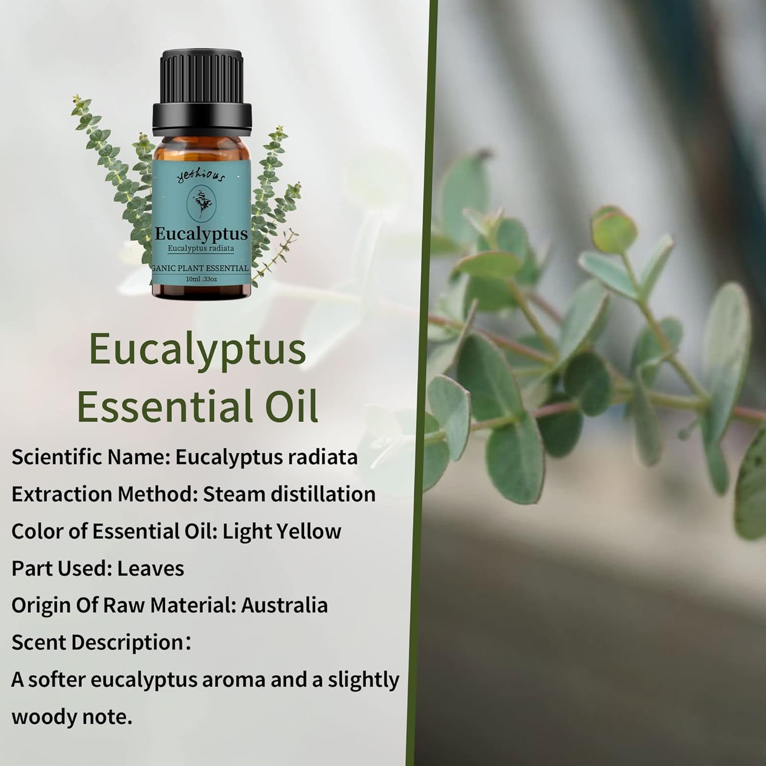 yethious Peppermint Eucalyptus Essential Oil 10ML Natural Peppermint Essential Oil Gift Set for Aromatherapy & Diffuser, Fragrance, Soap Candle Making