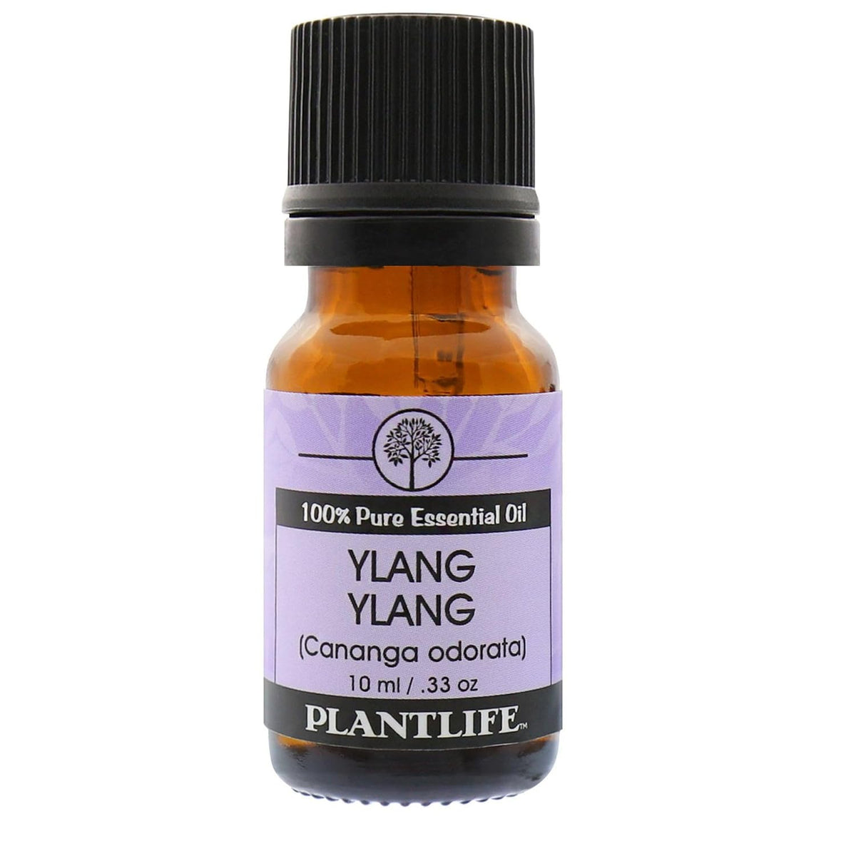 Plantlife Ylang Ylang Aromatherapy Essential Oil - Straight from The Plant 100% Pure Therapeutic Grade - No Additives or