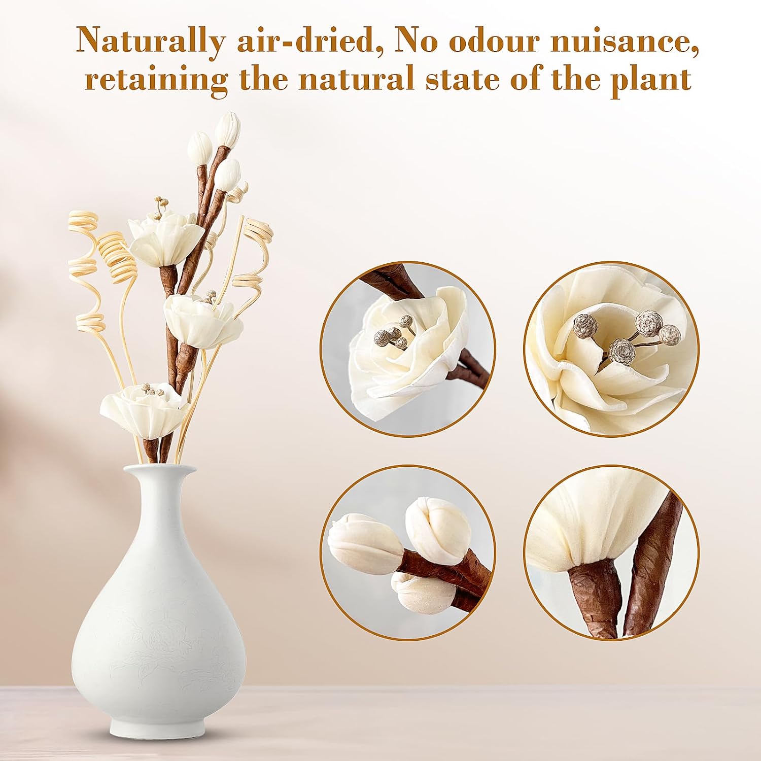 Reed Diffuser Sticks,Reed Diffuser Sticks Flowers,Reed Diffusers for Home,Bathroom Diffuser,Diffuser Set with Sticks,Natural Flower,White/Brown